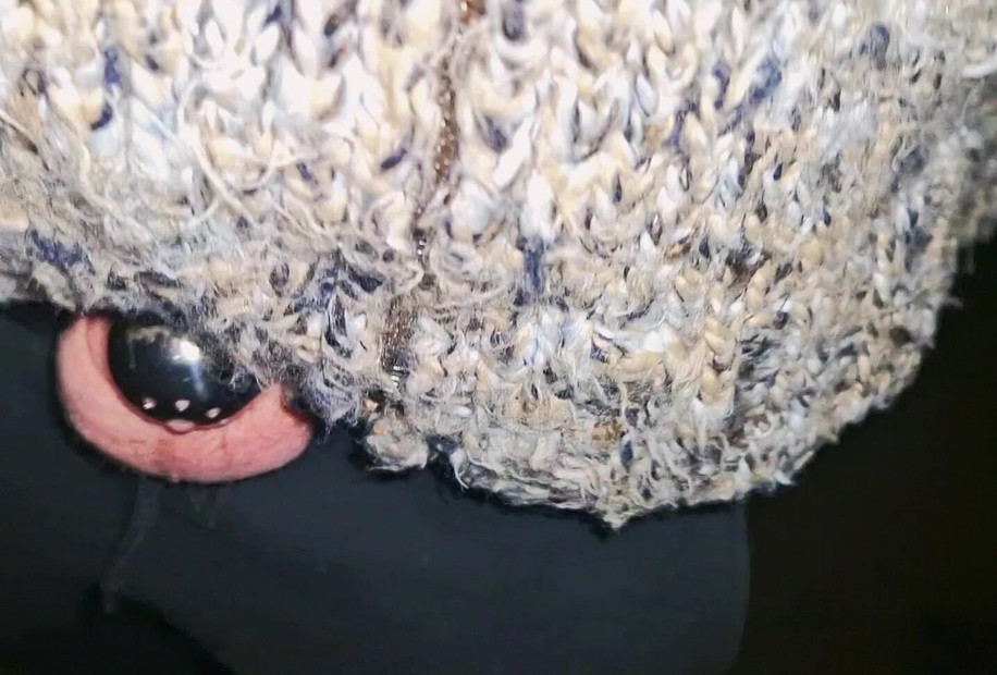 貞操ボーイが公にコックケージを見せる