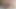 Girlfriend's Big Pussy Wants a Huge and Hard Cock