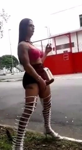 TS sex