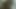 Adonis Man Jerks Off And Cums On Mirror - Turkish Bora Zeiss