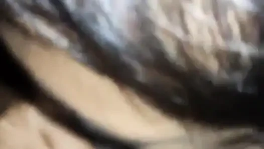 Жена моей мечты