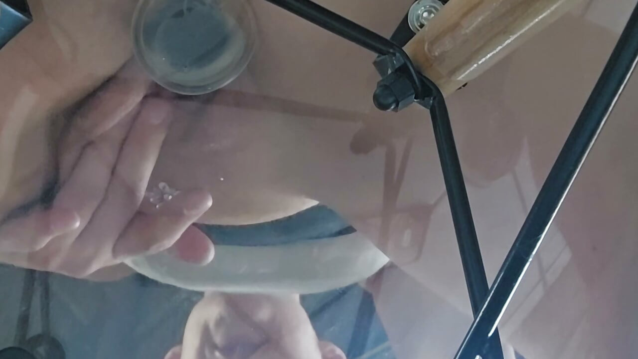 Close-up de foda com dildo translúcido
