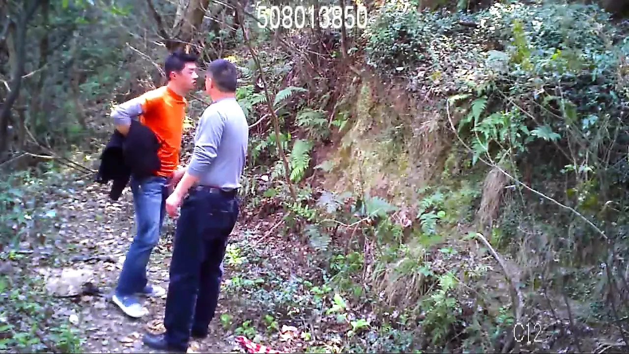 在森林里巡游同性恋做爱