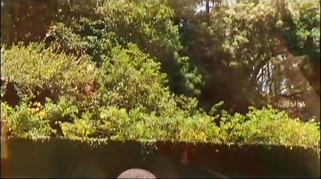 Outdoor group gay sex