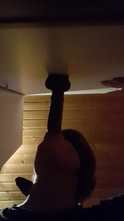 Sucking my big black dildo