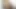 kırmızı kafa sürme