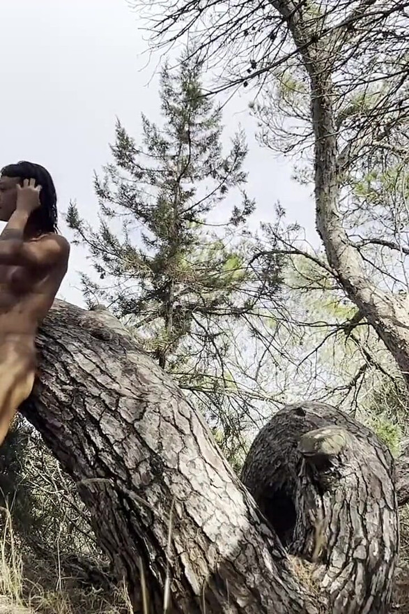 Trees