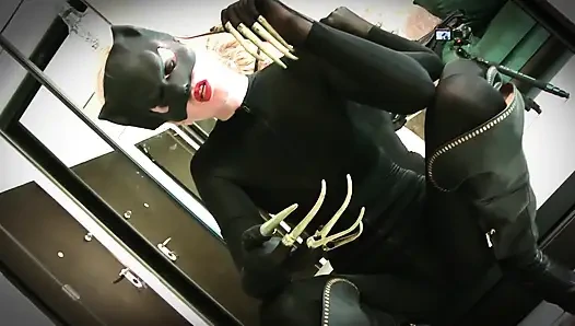 Батман заперли в сапогах кошки