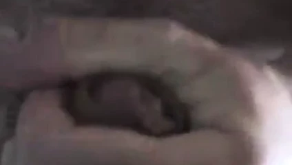 cumming