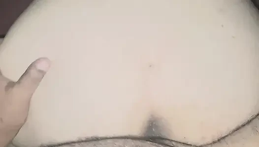 of a puppy