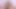 Shemales webcam live anal fucking