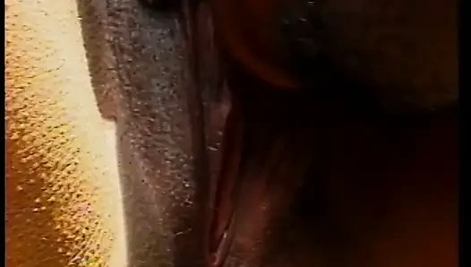 Bintang bokep kulit hitam dengan mudah meluncurkan roknya di luar ruangan