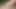 Colombian porno young penis full of milk ready for you