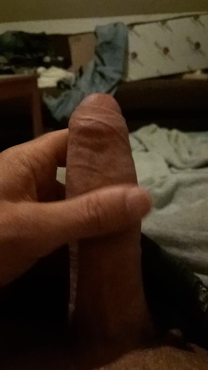 My horny cock is waiting for a wet pussy