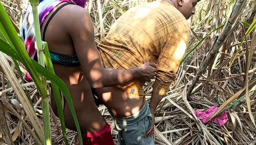 Shemale indienne - deux chauffeurs de camion et Shemale Pooja sont allés au Tôt ce matin, un champ de canne à sucre se fait baiser brutalement.