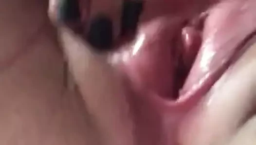 azgın KEDİ