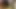Huge dildo  15 inch King Cock