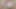 濡れたシャツに唾を吐きかけ、吸い付く