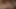 Dp: fucked &amp; anal kikir dengan ff strapon juga