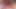 latina rubs a dildo on her clitoris imagining that it is your cock, would you rub your cock on her clitoris ?