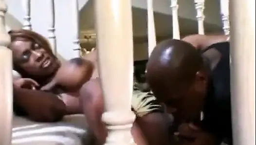 Büyük memeli zenci sürtük ıslak amını siktiriyor