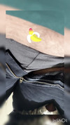Pregled videozapisa