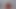 Throbbing Cock Cumshot in Mouth