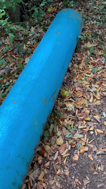 In the woods after being screwed
