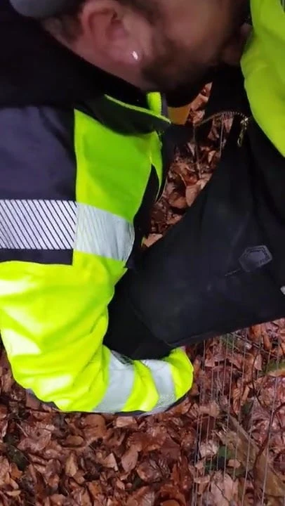 Spass im Wald