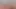 Travel thrash. Nudist girl unexpectedly sucks blogger's dick