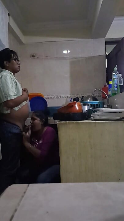 Fucking and Sucking with the Employee in the Kitchen