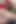Bayan mario dildo sert sikişiyor ve dölleniyor