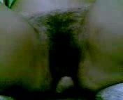 Yoli