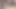 I tricked a beautiful amateur woman who applied for a job as a model to shoot an adult video. Give a blowjob and creampie(#256)