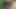 Gab einem typen einen blowjob im wald