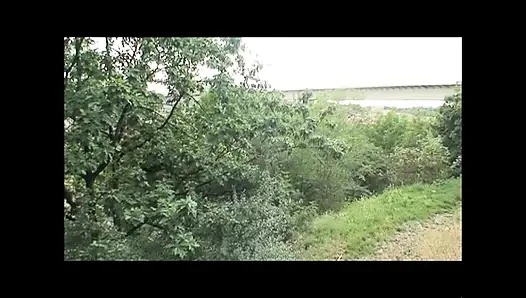 Chronicles of Young Sluts