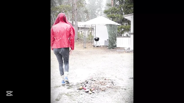 Little walk in snowfall