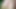 Pre cum masturbation ladyboy cock sweet candy babe slut shemale