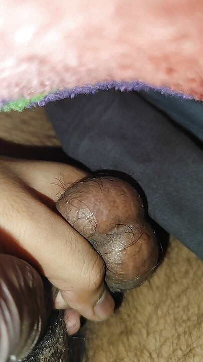 Indian penis