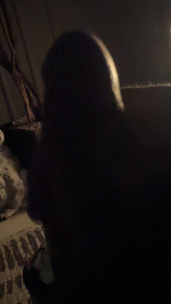 私ファイアサイド