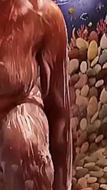 Ammu is applying soap to her breasts139 | Clip 1
