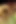 Lucky James ilk porno sikişi için Kyler Moss'a sahip