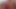 Black pregnant lesbians lactating and dildoing each other