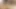 Self Fucking Video in Sri Lankan Big penis Young man on the room bed not someone in home