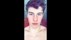 Shawn mendes gay cum tributo desafio sexy celebridade