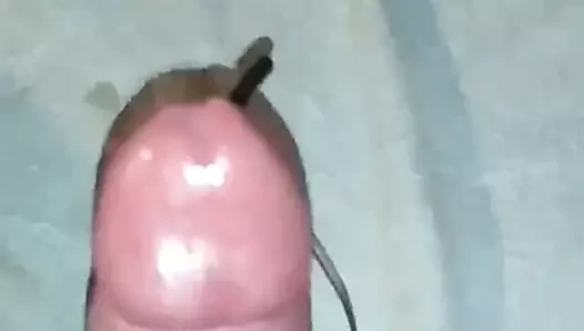 Elektro sperma spitzer