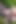 Trans tip i porno zvijezda zabava u vrtu