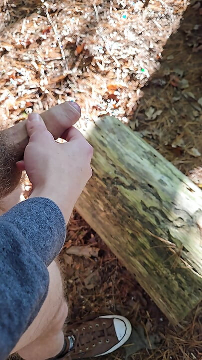 Naked quick cum on log seat while hiking along a wooded trail in public