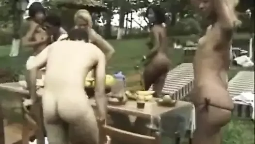 Dirtydognam- Brazilian big picnic pansexual orgy with