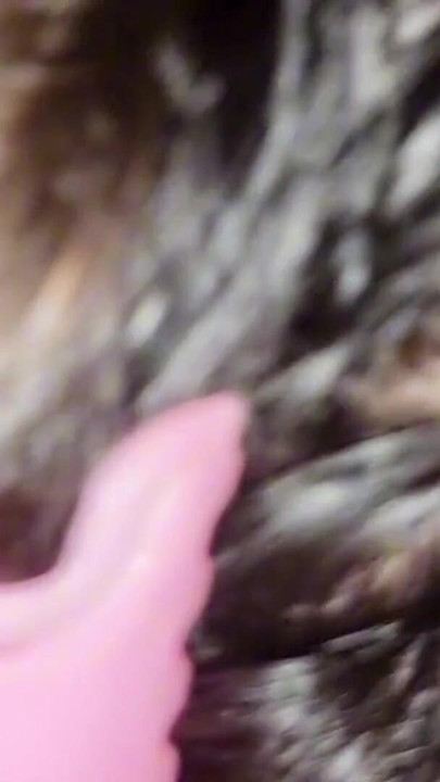my wife need anal fuck. then i fucked anal very hard, full bangla voice anal video | Clip 1